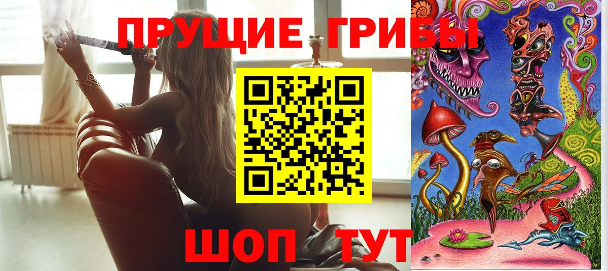 купить наркоту  Галлюциногенные грибы ЛСД  Вход с VPN  Северобайкальск 